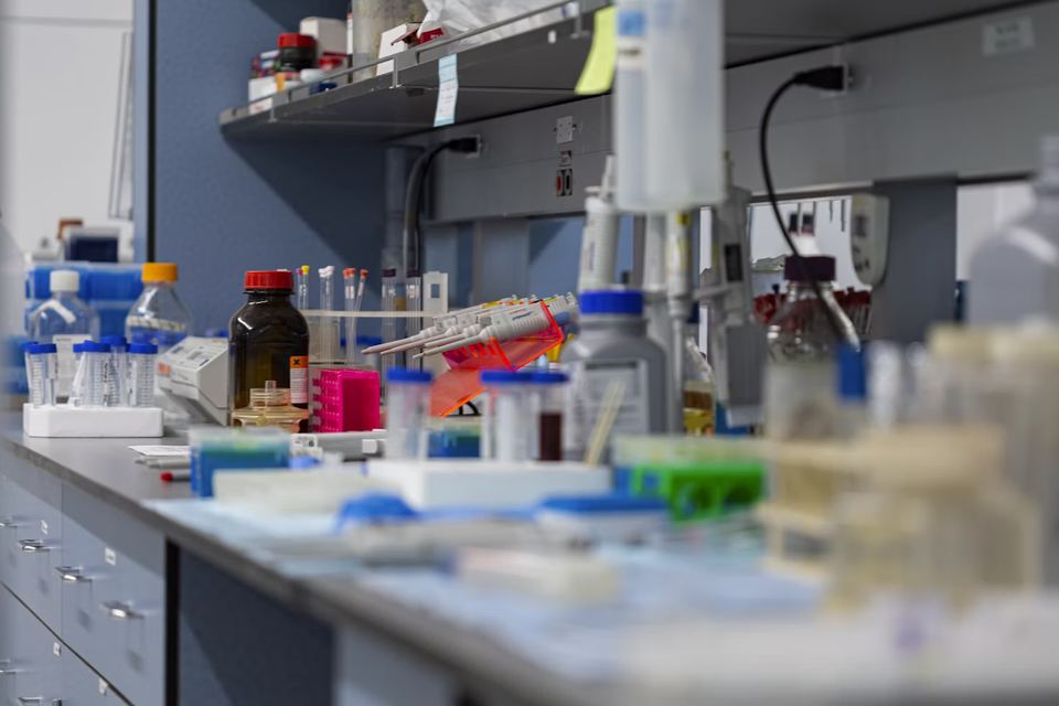 Laboratory bench set up with reagent bottles, micropipettes and sample tubes