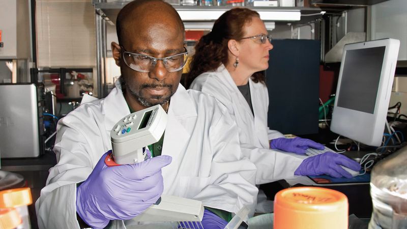 Two laboratory scientists in white coats and purple gloves at a bench, one using a multichannel pipette over a sample plate
