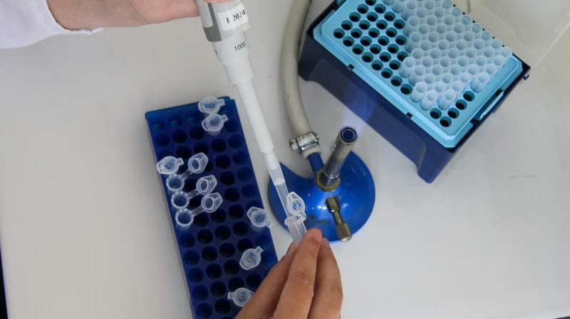 Overhead view of a technician pipetting samples into microcentrifuge tubes beside a tip box